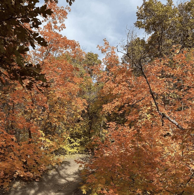 City Creek Canyon Trailhead