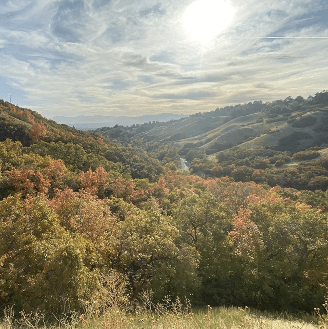 City Creek Canyon Trailhead