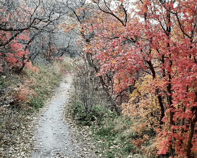 City Creek Canyon Trailhead