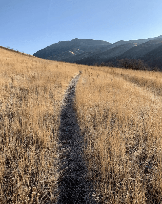 City Creek Canyon Trailhead