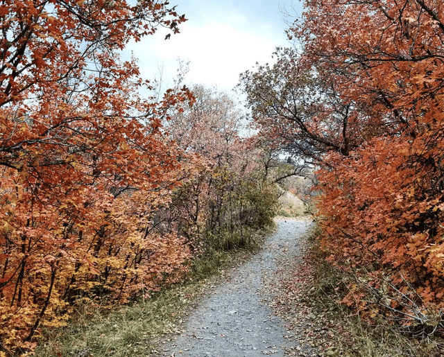 City Creek Canyon Trailhead