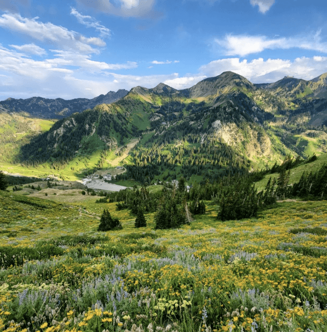 S. Ridge (Mt. Superior)