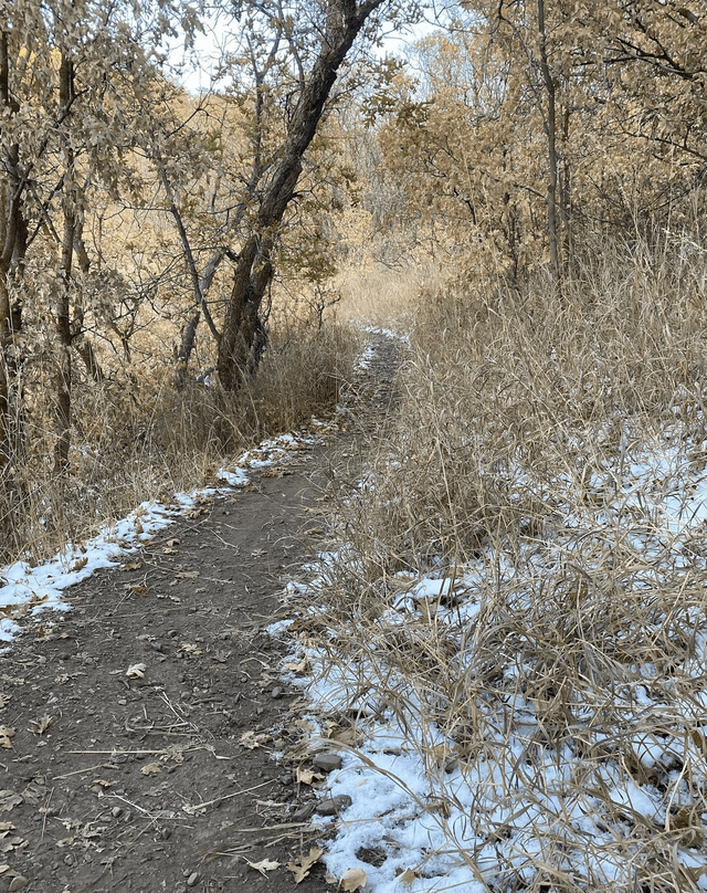 Dry Gulch Trailhead