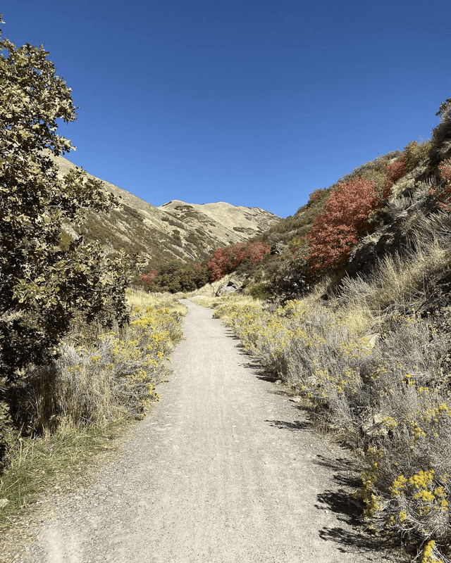 Dry Gulch Trailhead