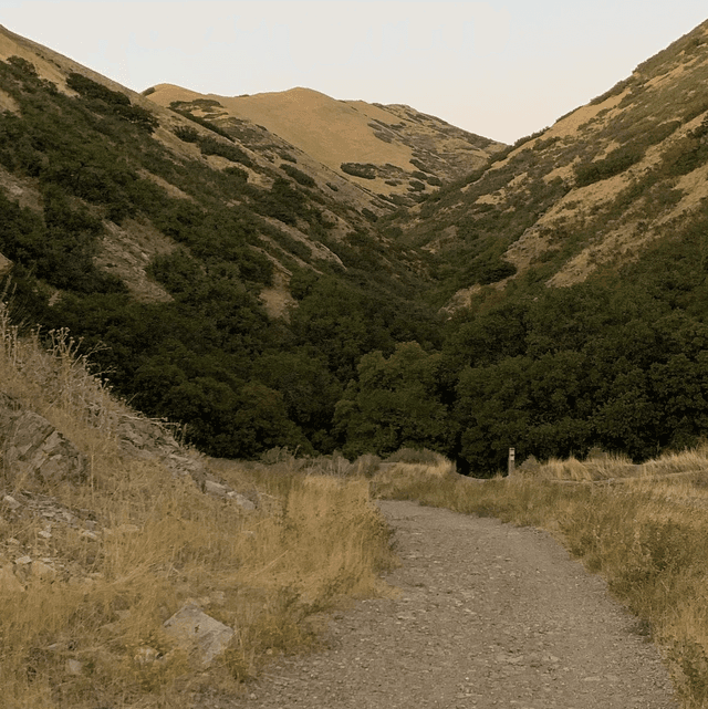 Dry Gulch Trailhead