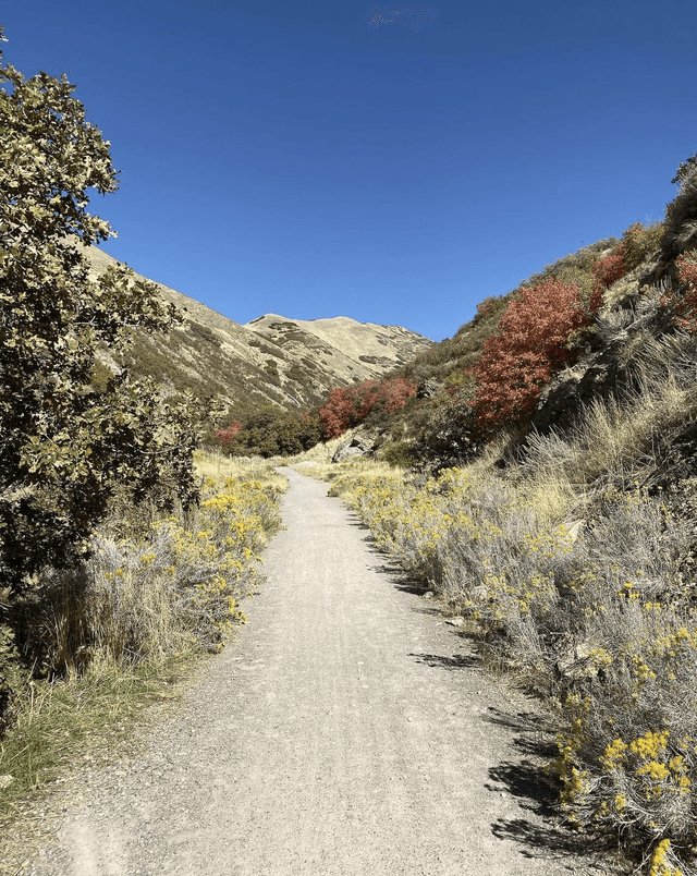 Dry Gulch Trailhead