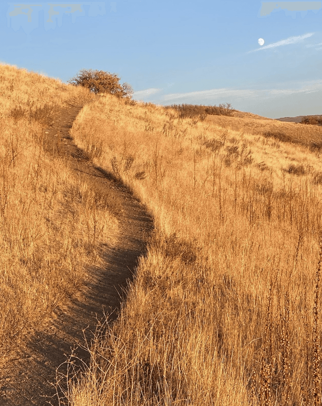 Dry Gulch Trailhead