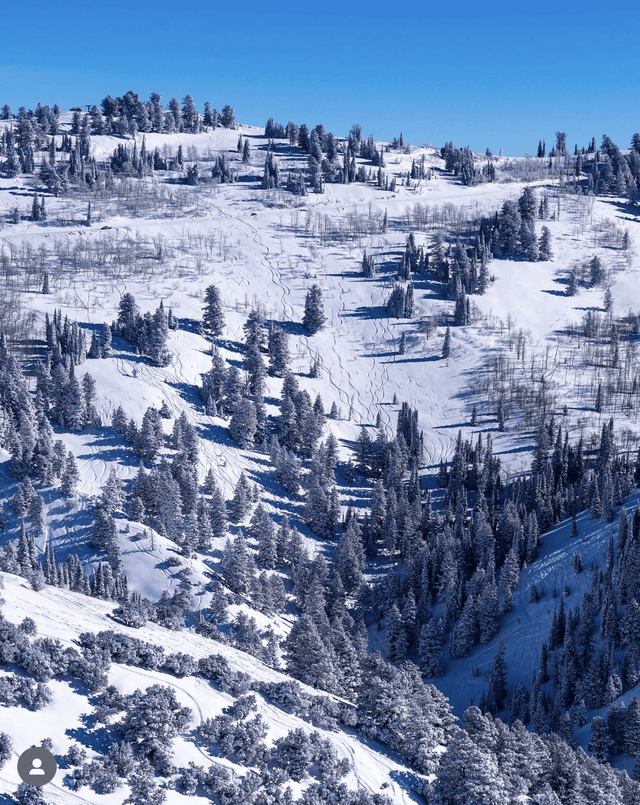 Powder Mountain