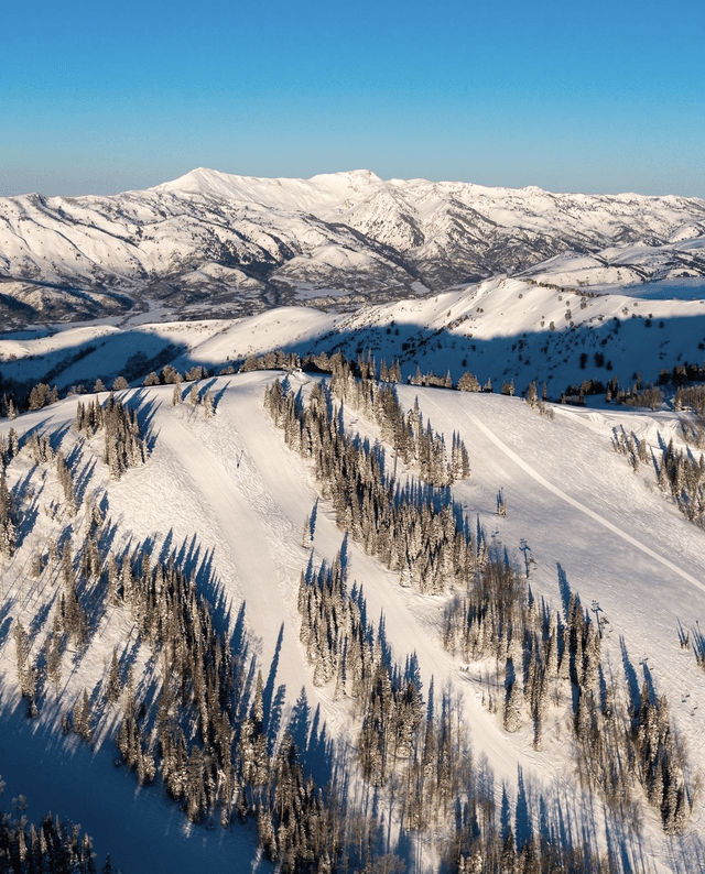 Powder Mountain