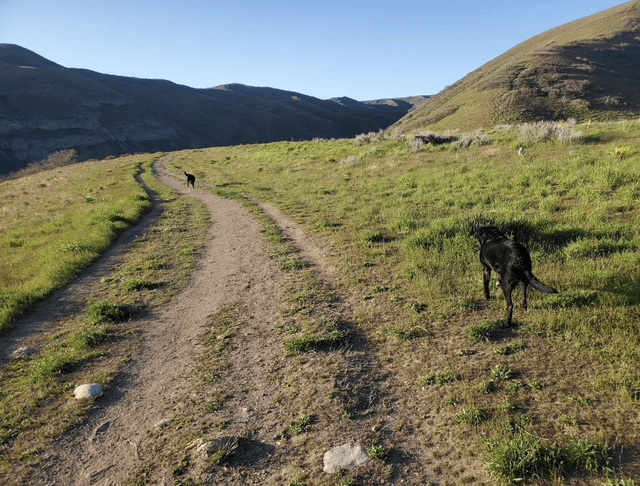 Bonneville shoreline Access Trailhead