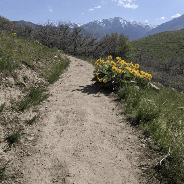 Bonneville shoreline Access Trailhead