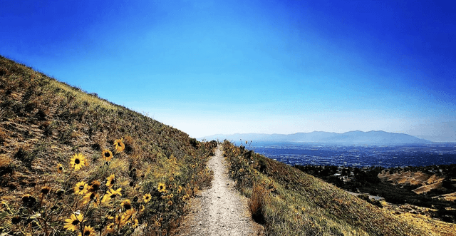 Bonneville shoreline Access Trailhead