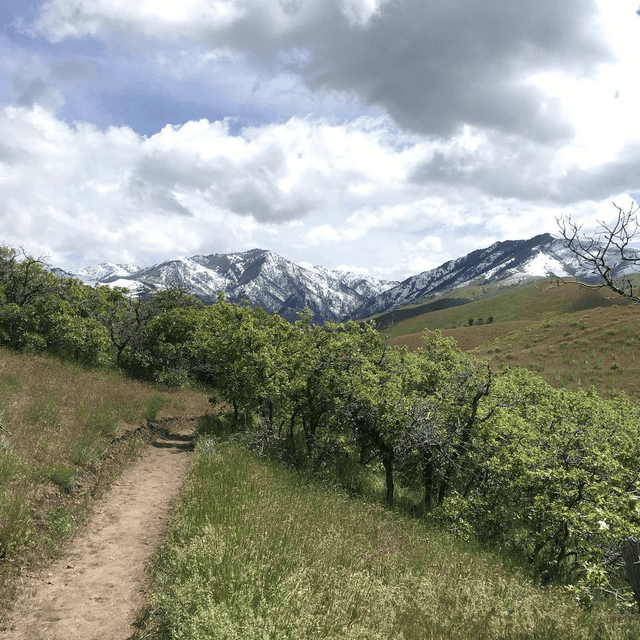 Bonneville shoreline Access Trailhead