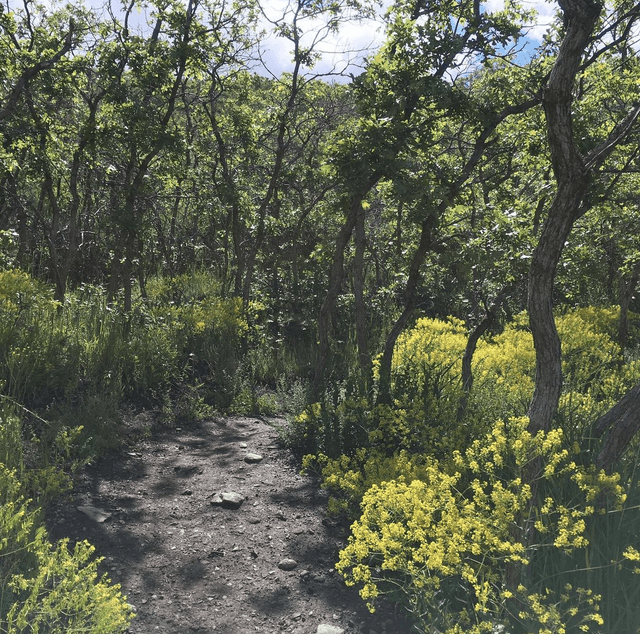 Bonneville shoreline Access Trailhead