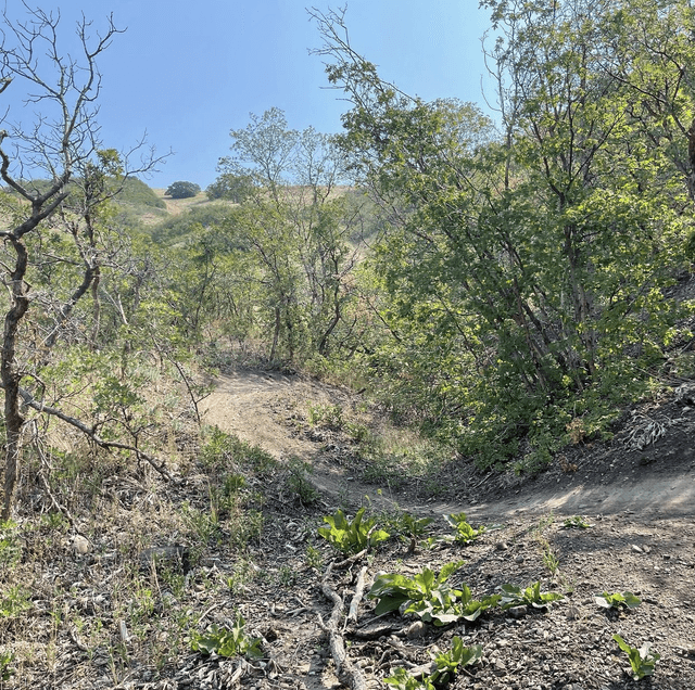 Bonneville Shoreline Access Trailhead