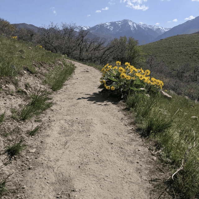 Bonneville Shoreline Access Trailhead