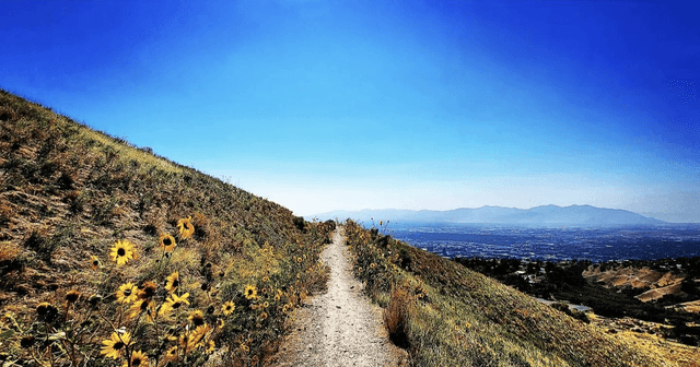 Bonneville Shoreline Access Trailhead