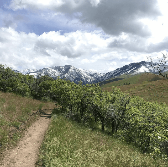 Bonneville Shoreline Access Trailhead