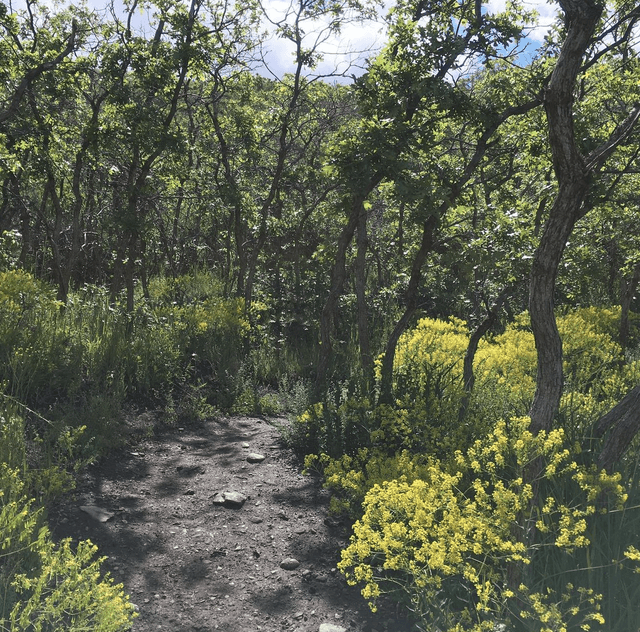 Bonneville Shoreline Access Trailhead