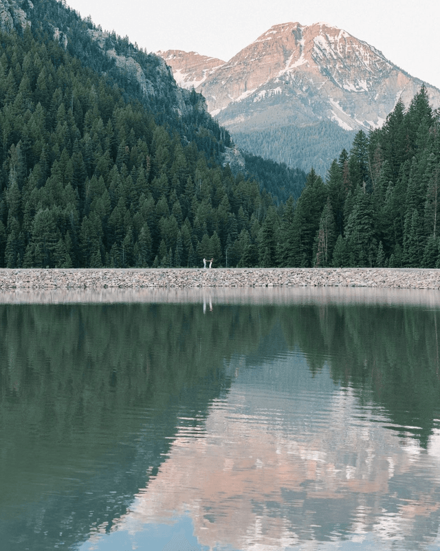 Tibble Fork Reservoir