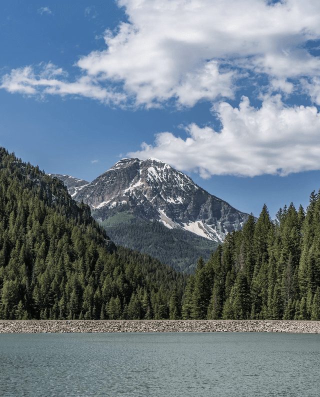 Tibble Fork Reservoir