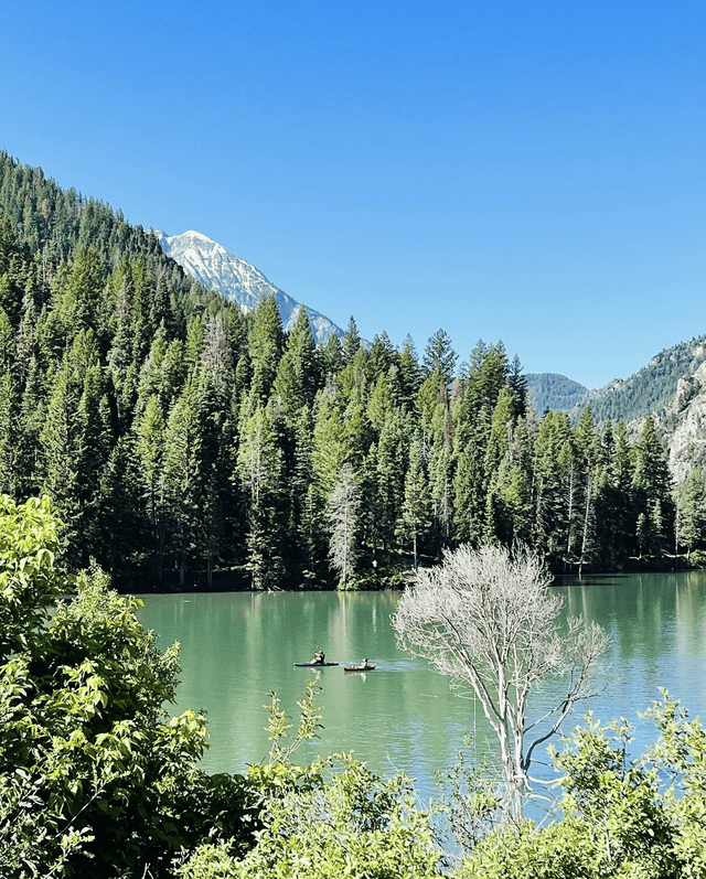 Tibble Fork Reservoir