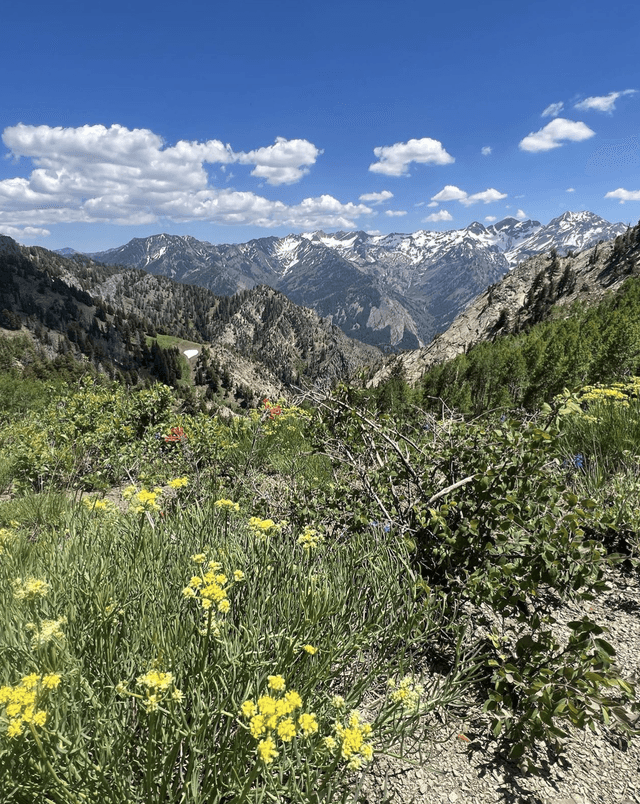 West Slabs (Mount Olympus)