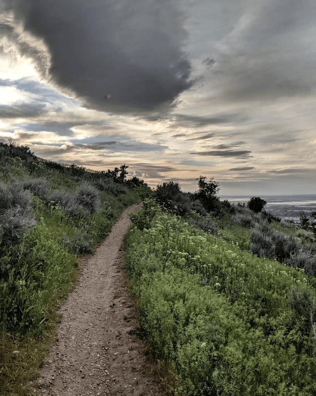 Wild Rose Trailhead