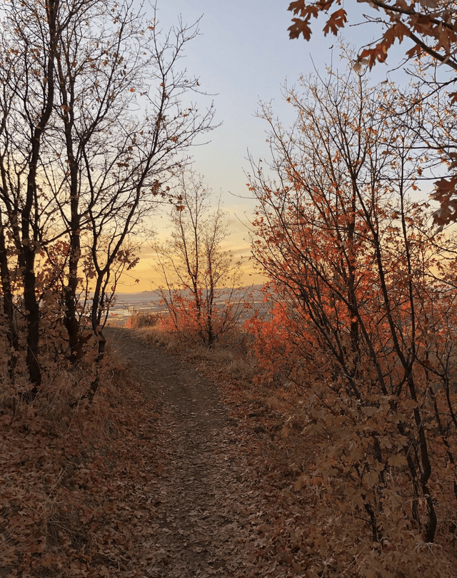 Wild Rose Trailhead