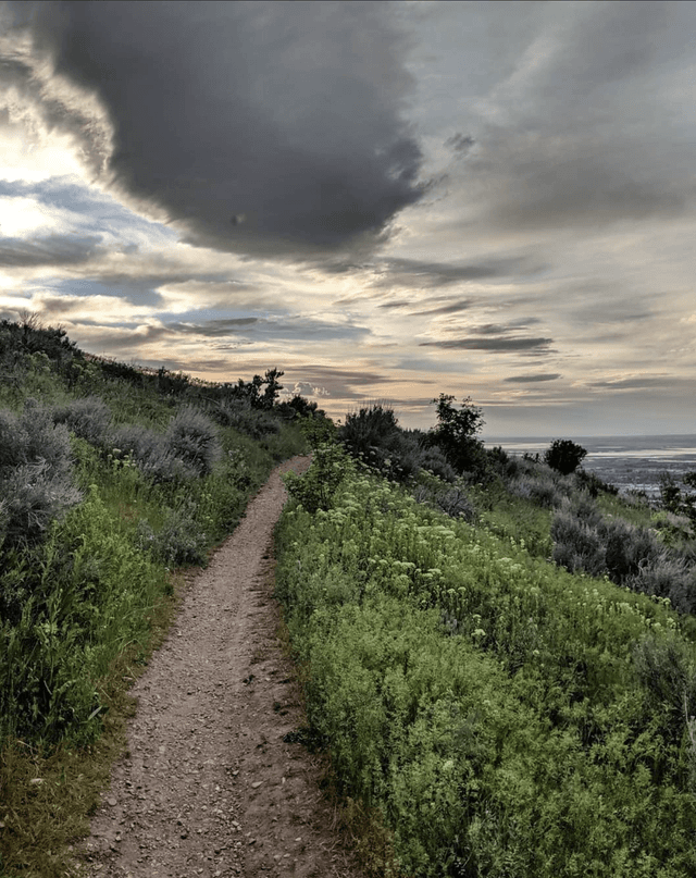 Wild Rose Trailhead