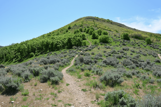 Wild Rose Trailhead