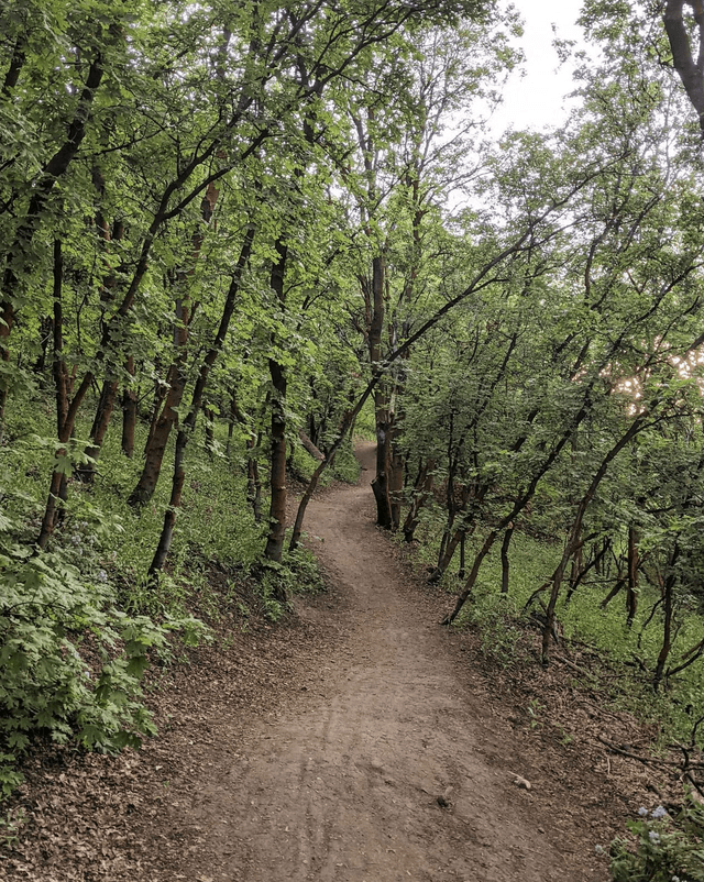 Wild Rose Trailhead