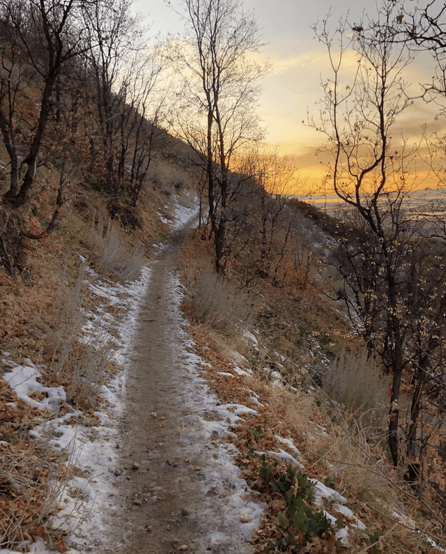 Wild Rose Trailhead