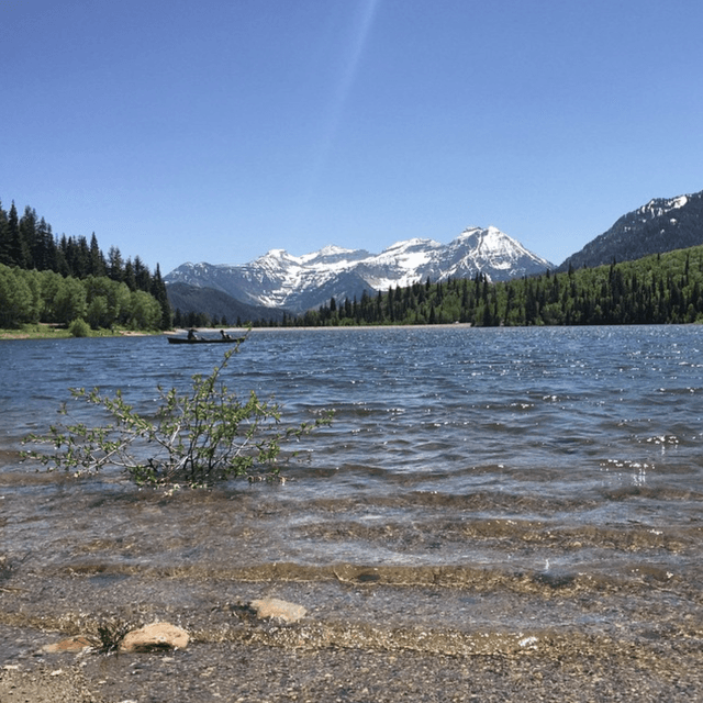 Silver Flat Lake