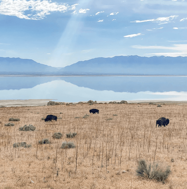 Great Salt Lake State Park