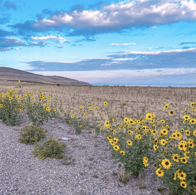 Antelope Island State Park