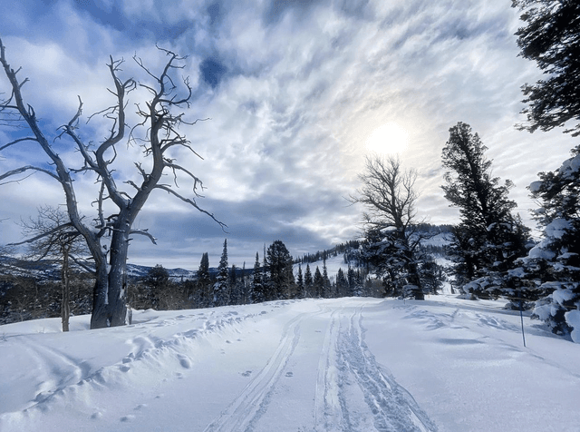 Beaver Mountain