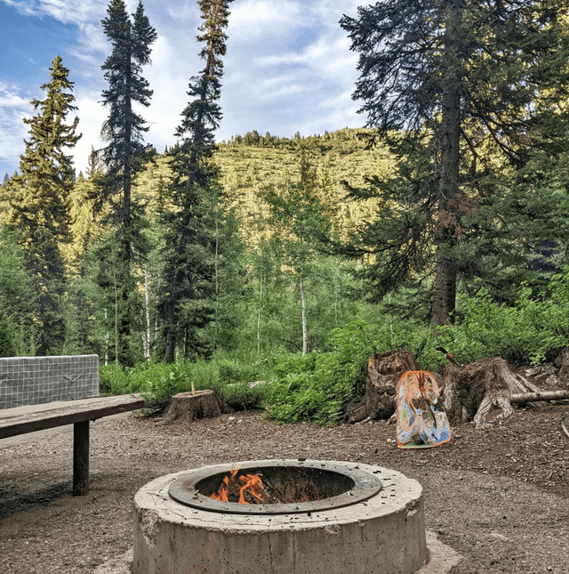 Spruces Big Cottonwood Campground