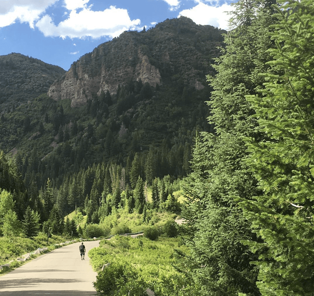 Spruces Big Cottonwood Campground