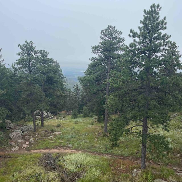 Mt. Falcon Park West Trailhead