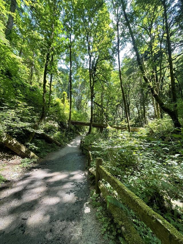 Lower Macleay Park Trailhead