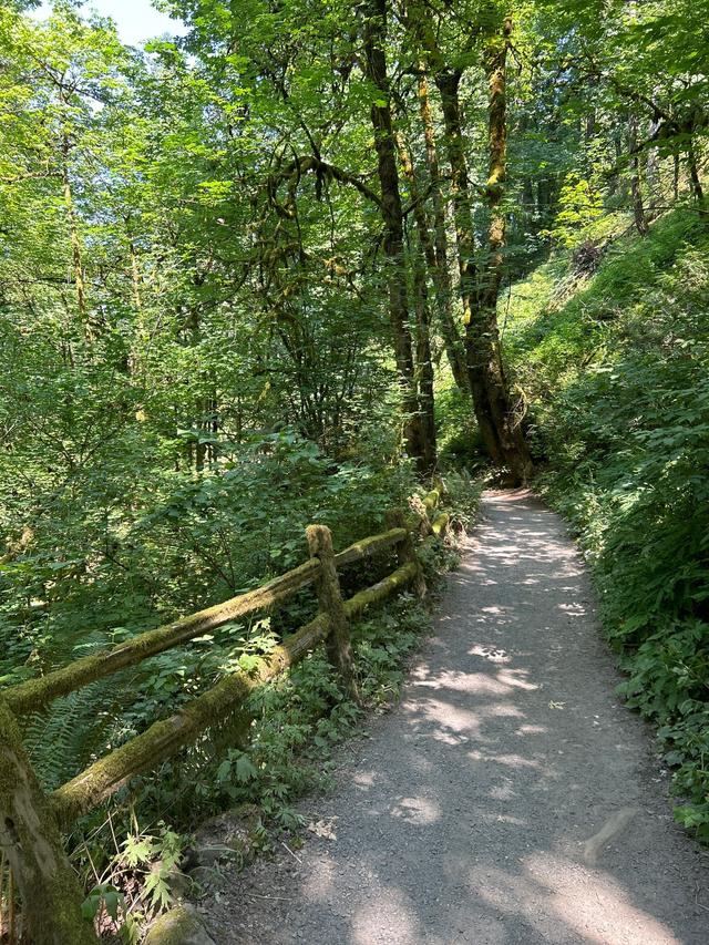 Lower Macleay Park Trailhead