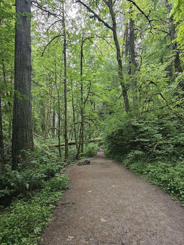 Lower Macleay Park Trailhead