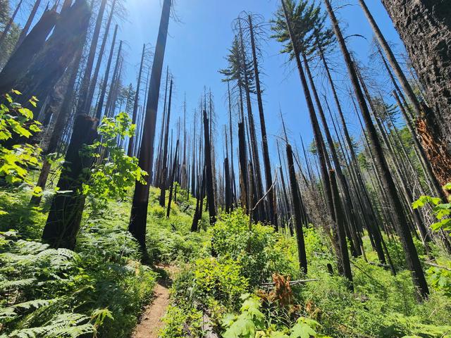 Eagle Creek Trailhead