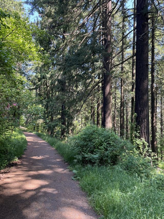 Mt Tabor Park Trail System