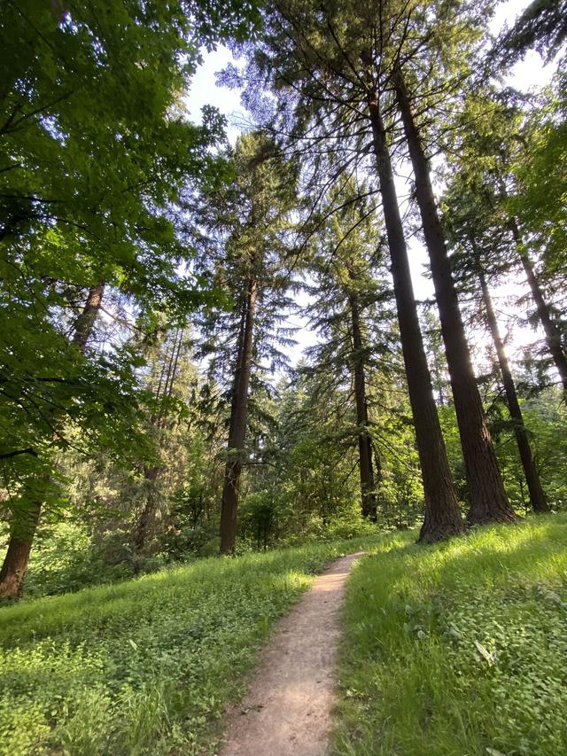 Mt Tabor Park Trail System