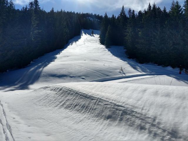 Mt. Hood Ski Bowl