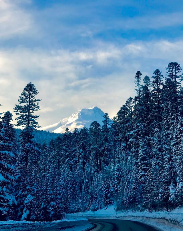 Mt. Hood Meadows