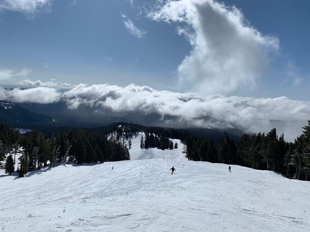 Mt. Hood Meadows