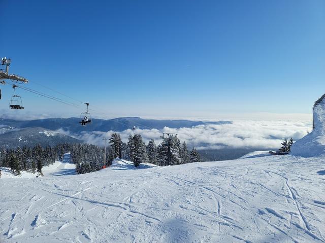 Mt. Hood Meadows